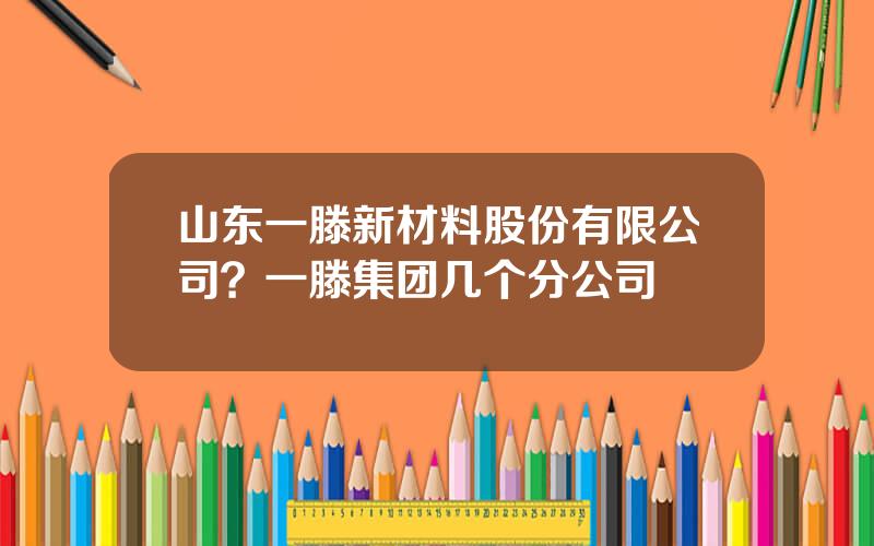 山东一滕新材料股份有限公司？一滕集团几个分公司