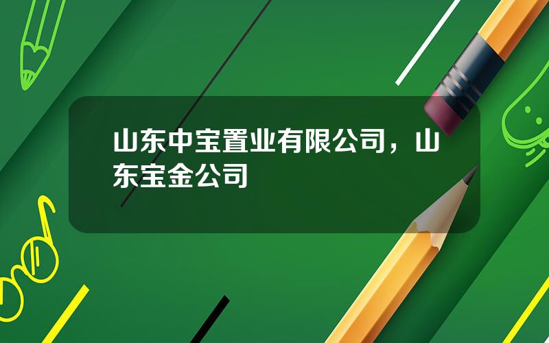 山东中宝置业有限公司，山东宝金公司