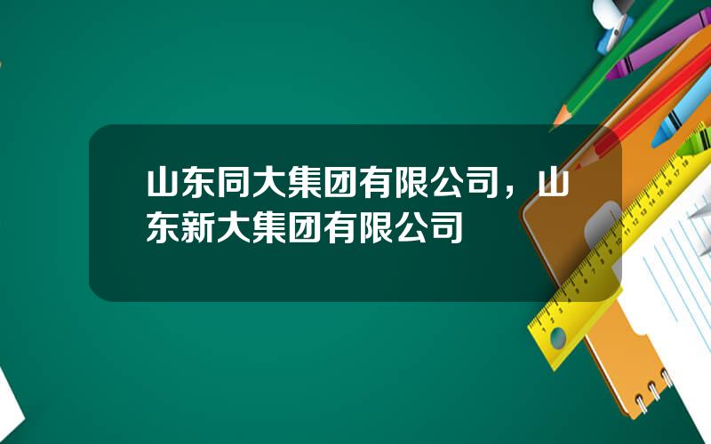 山东同大集团有限公司，山东新大集团有限公司