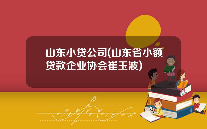 山东小贷公司(山东省小额贷款企业协会崔玉波)