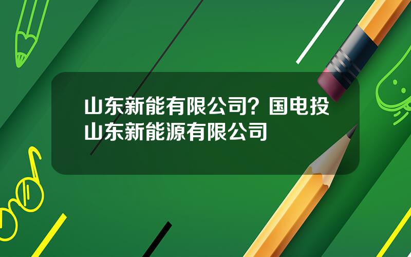 山东新能有限公司？国电投山东新能源有限公司