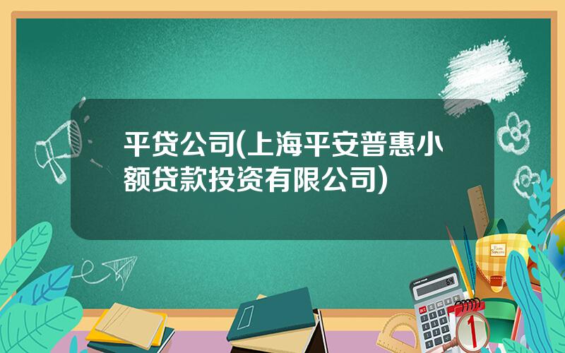 平贷公司(上海平安普惠小额贷款投资有限公司)