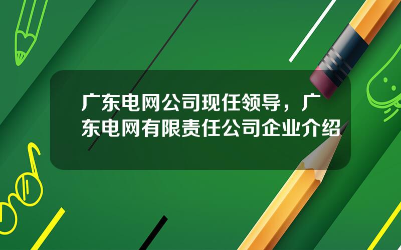 广东电网公司现任领导，广东电网有限责任公司企业介绍