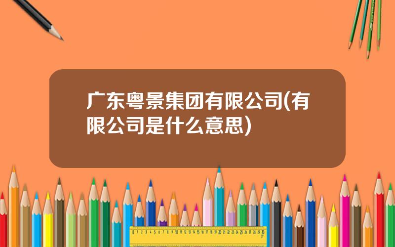 广东粤景集团有限公司(有限公司是什么意思)