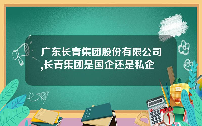 广东长青集团股份有限公司,长青集团是国企还是私企