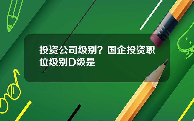 投资公司级别？国企投资职位级别D级是