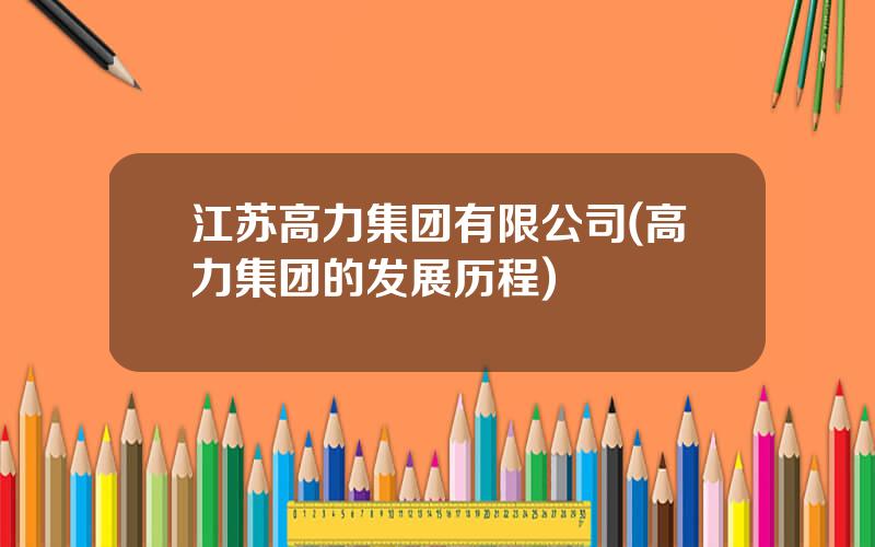 江苏高力集团有限公司(高力集团的发展历程)